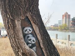 -迎泽公园