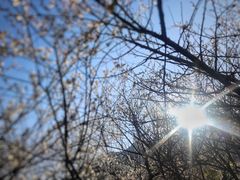 -广州市流溪河国家森林公园