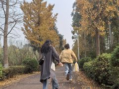 -白鹭湾湿地公园