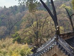 -潭柘寺景区
