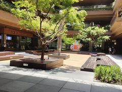 -瑞虹新天地月亮湾