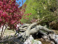-十渡东湖港风景区