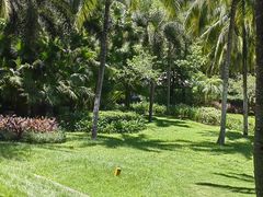 -海南清水湾莱佛士酒店