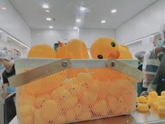 -LINLEE林里·手打柠檬茶(海曙天一广场店)