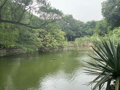 -柳侯公园