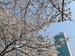 -西北湖绿化广场