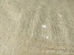 -大众海鲜加工大排档(金海湾大道店)