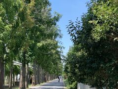 -前小桔亲子创意农场·草莓采摘·露营烧烤
