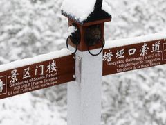 -武陵山森林公园