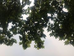 -钟山体育运动公园