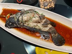 清蒸老虎斑-院子餐厅·大锅菜·老杭帮(桥西直街店)