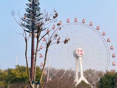 -东湖磨山景区