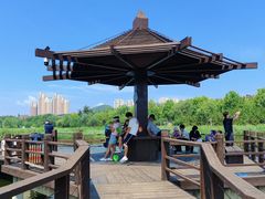 -前关湿地公园