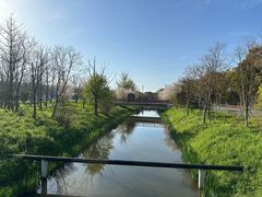 -东平国家森林公园