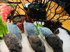 企鹅丸-湊湊火锅·茶憩(石家庄万象城店)