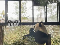 -上海野生动物园