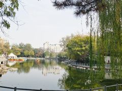 -莲湖公园