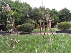 -沙河三洞古桥公园