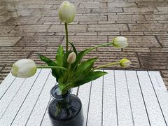 -树下咖啡(昆明老街店)