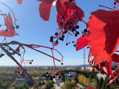 -北京金海湖景区
