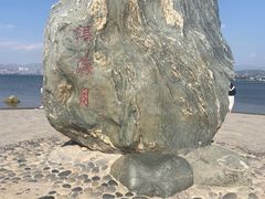 -洱海月湿地公园