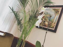 -南山鲜虾面·活鲜小馆·海味大连菜(南山总店)