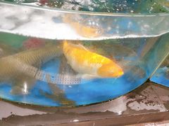 -AEON永旺(东方宝泰店)