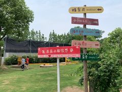 -前小桔亲子创意农场·草莓采摘·露营烧烤