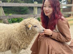 -神户市立六甲山牧场