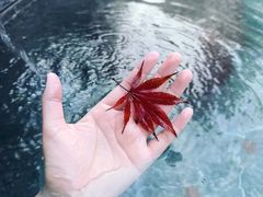 -麦积山温泉