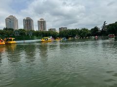 -团结湖公园
