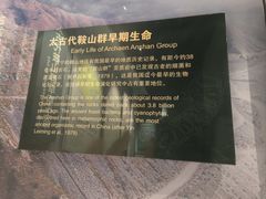 -辽宁古生物博物馆
