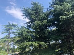 -东方绿舟景区