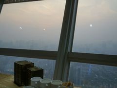 android_upload_pic-339旋转餐厅(天府熊猫塔店)