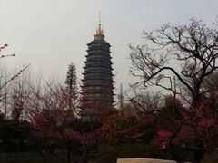 -常州古运河