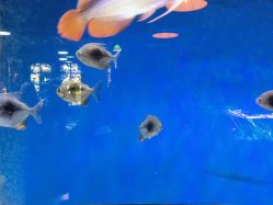 -青木造型HAIR·あおき髪を刈る潮人店