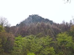 -青城山