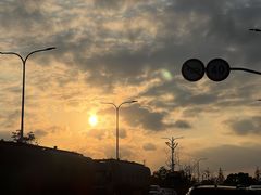 -上海滨江森林公园