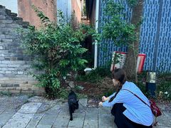 -巍山古城