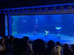 -石家庄海洋公园
