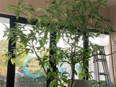 -老余家面馆
