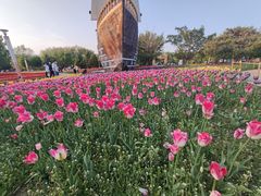 -长春公园(普阳街道)