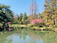 -杭州植物园