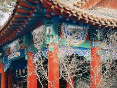 -碑林公园