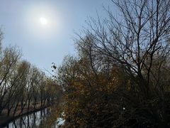 -溱湖国家湿地公园