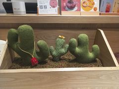 -炖物24章·顺时轻养茶(杭州保利时光里店)