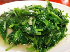 龙须菜-梅鑫海产店