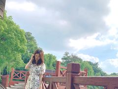 -雨湖公园