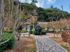 -广州市流溪河国家森林公园