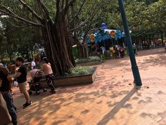 -东风公园